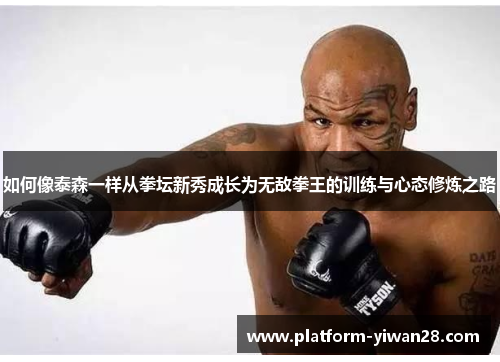 如何像泰森一样从拳坛新秀成长为无敌拳王的训练与心态修炼之路