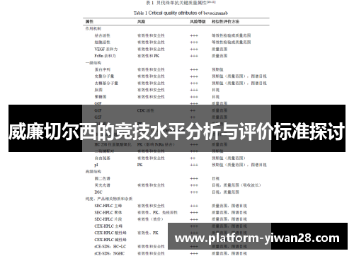 威廉切尔西的竞技水平分析与评价标准探讨