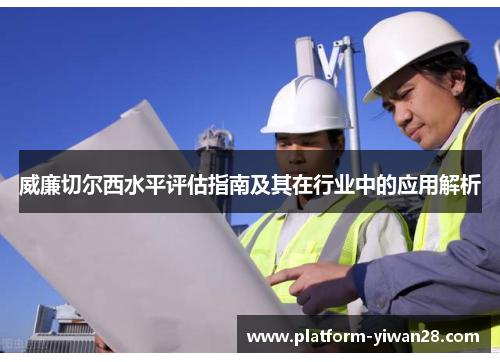 威廉切尔西水平评估指南及其在行业中的应用解析